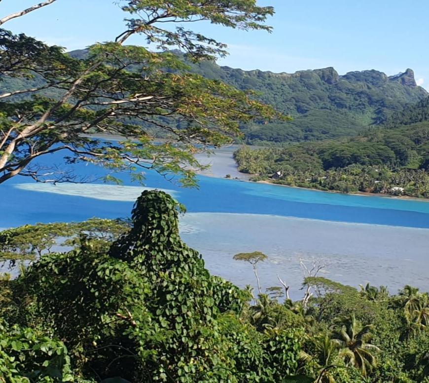 Huahine Manta Lodge Avec 4X4 Optionnel Haapu Eksteriør billede