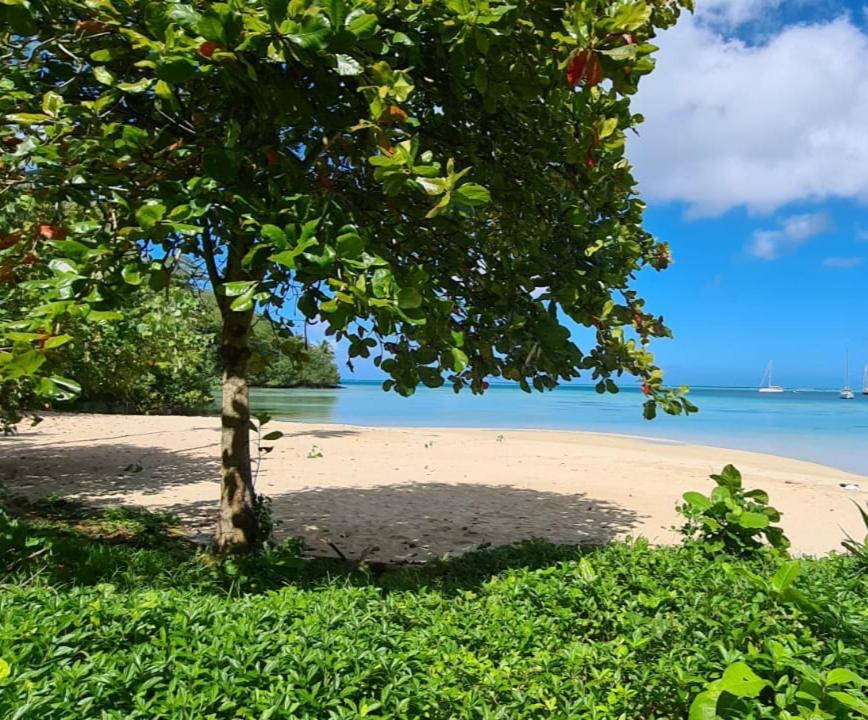 Huahine Manta Lodge Avec 4X4 Optionnel Haapu Eksteriør billede
