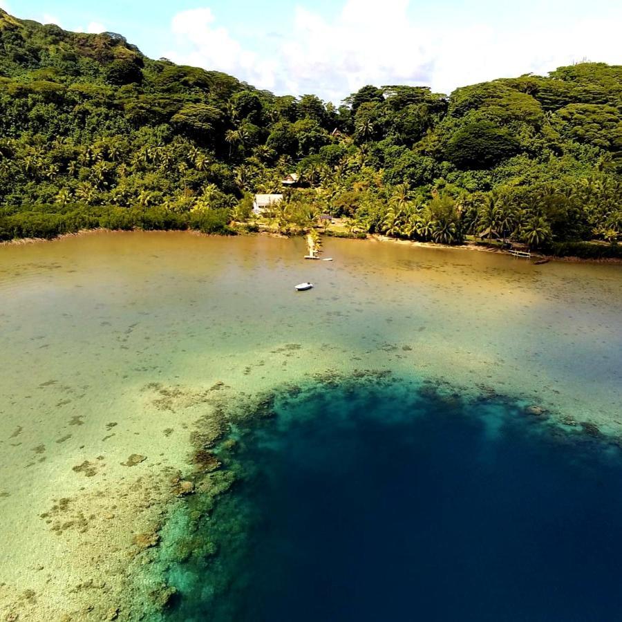 Huahine Manta Lodge Avec 4X4 Optionnel Haapu Eksteriør billede