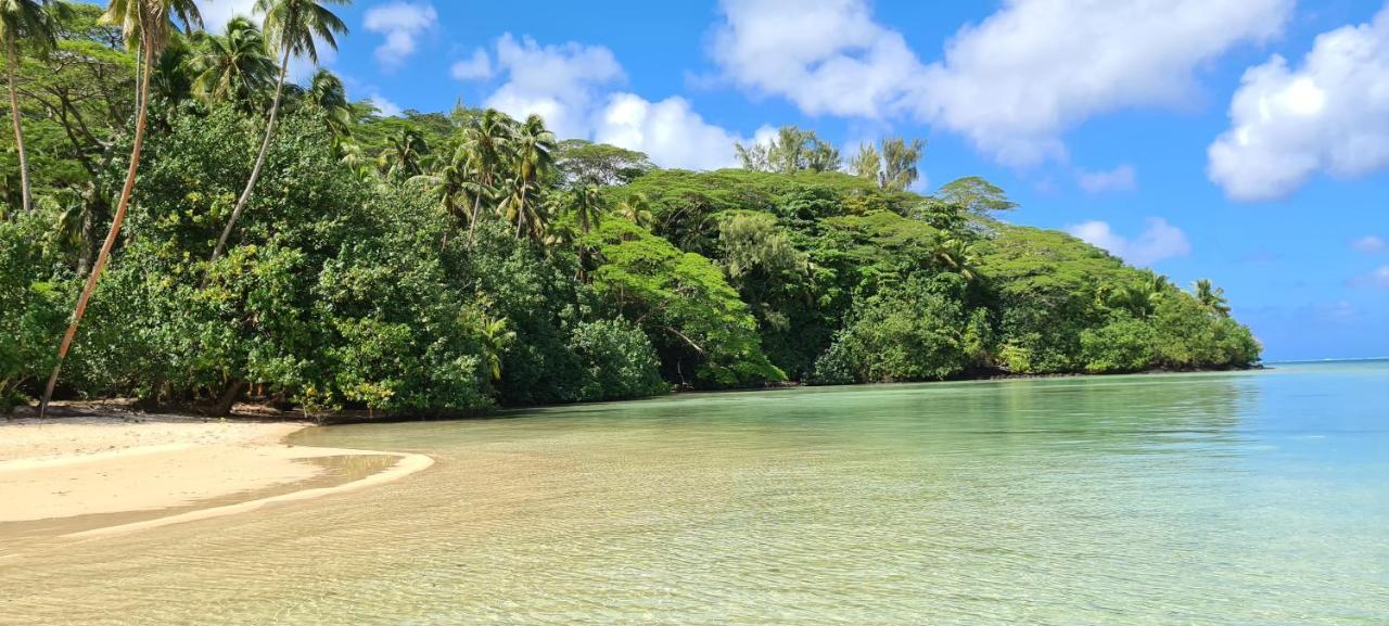 Huahine Manta Lodge Avec 4X4 Optionnel Haapu Eksteriør billede