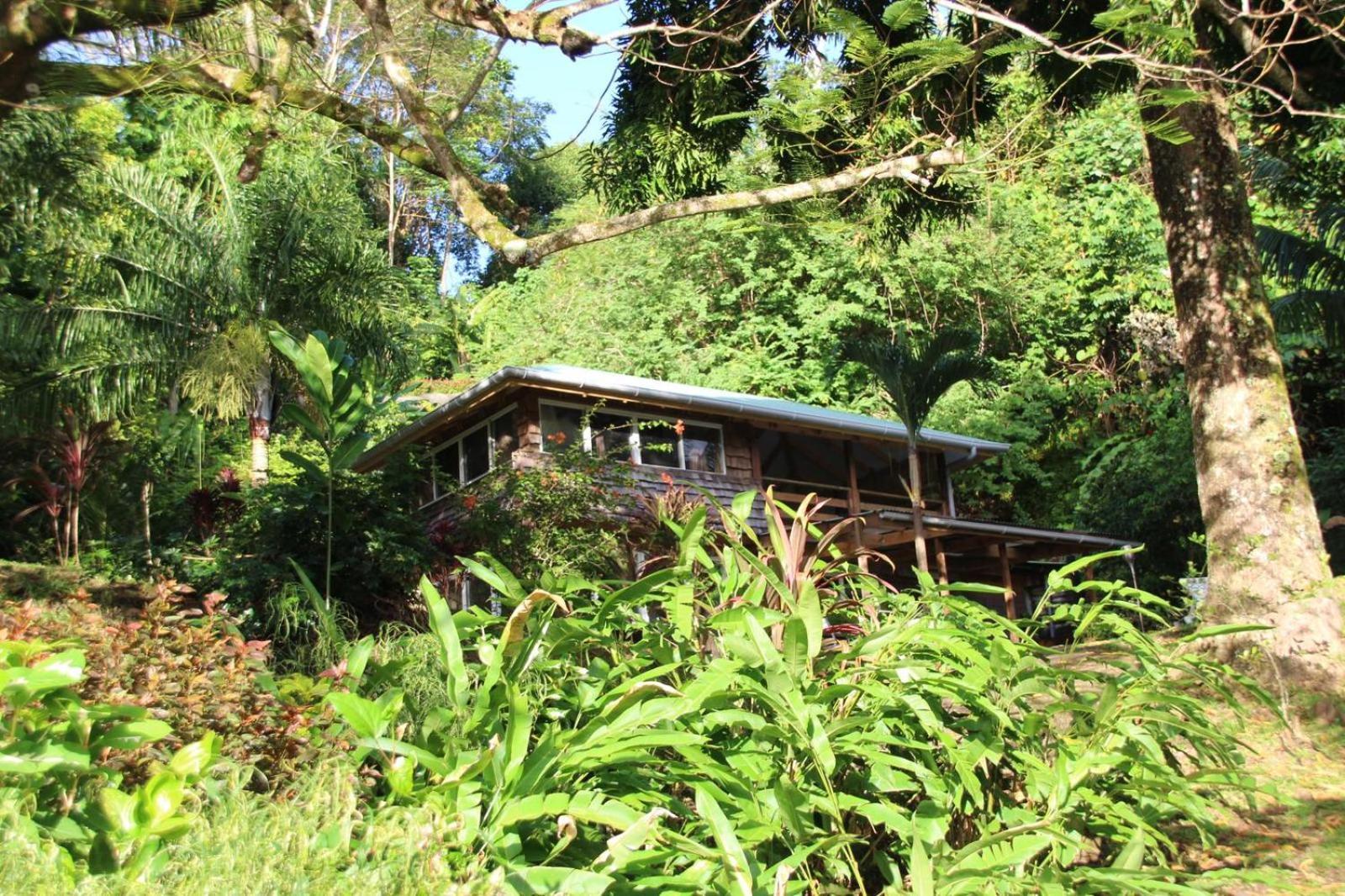 Huahine Manta Lodge Avec 4X4 Optionnel Haapu Eksteriør billede