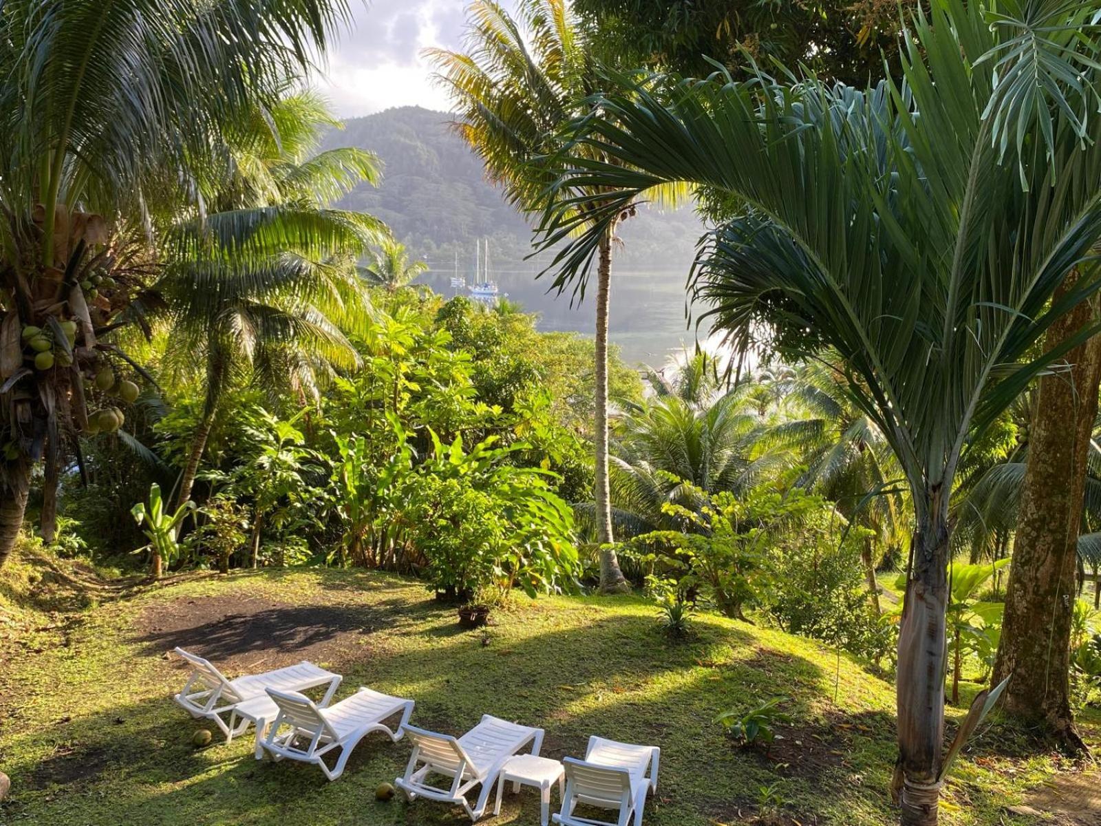Huahine Manta Lodge Avec 4X4 Optionnel Haapu Eksteriør billede