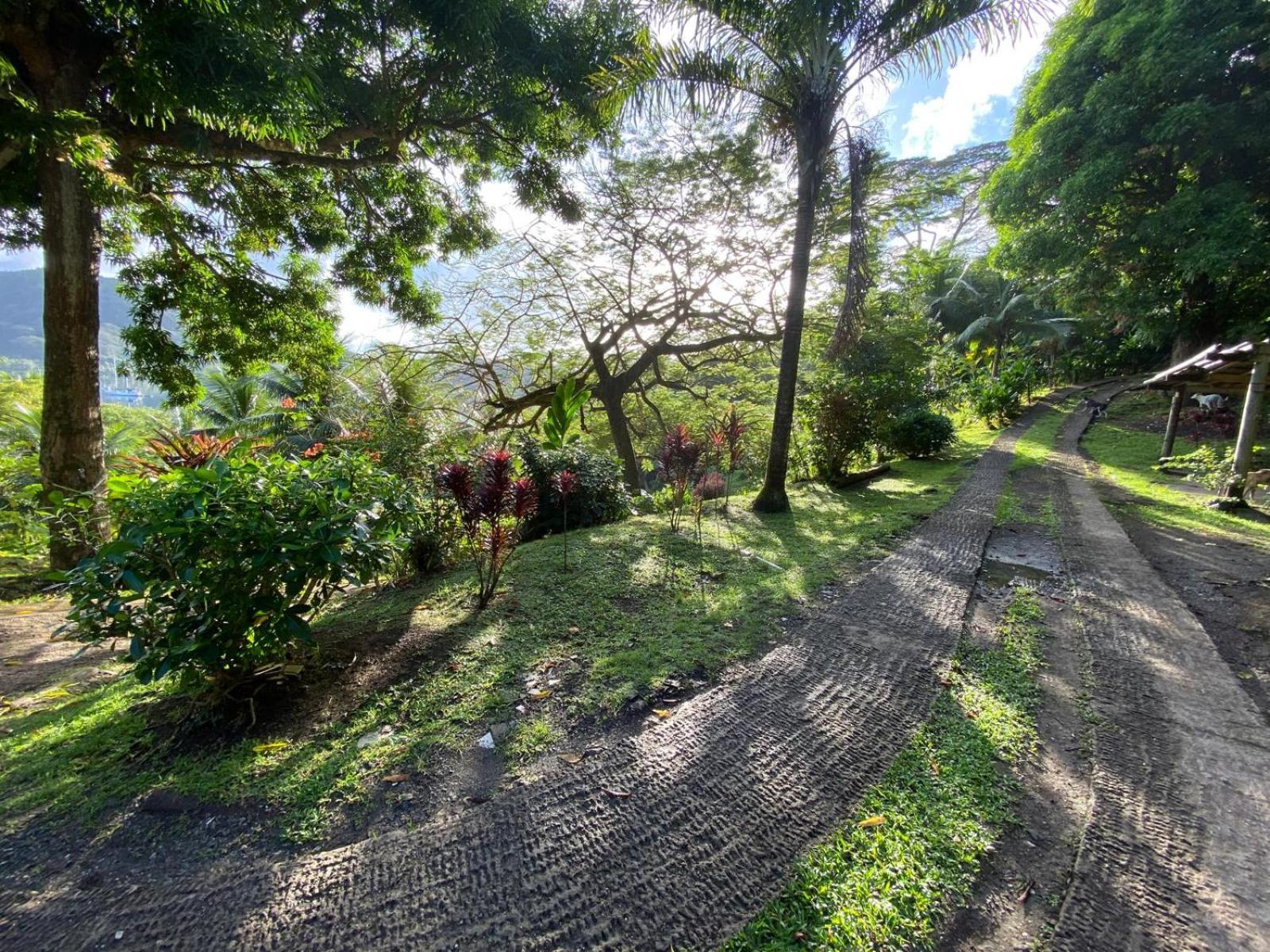 Huahine Manta Lodge Avec 4X4 Optionnel Haapu Eksteriør billede