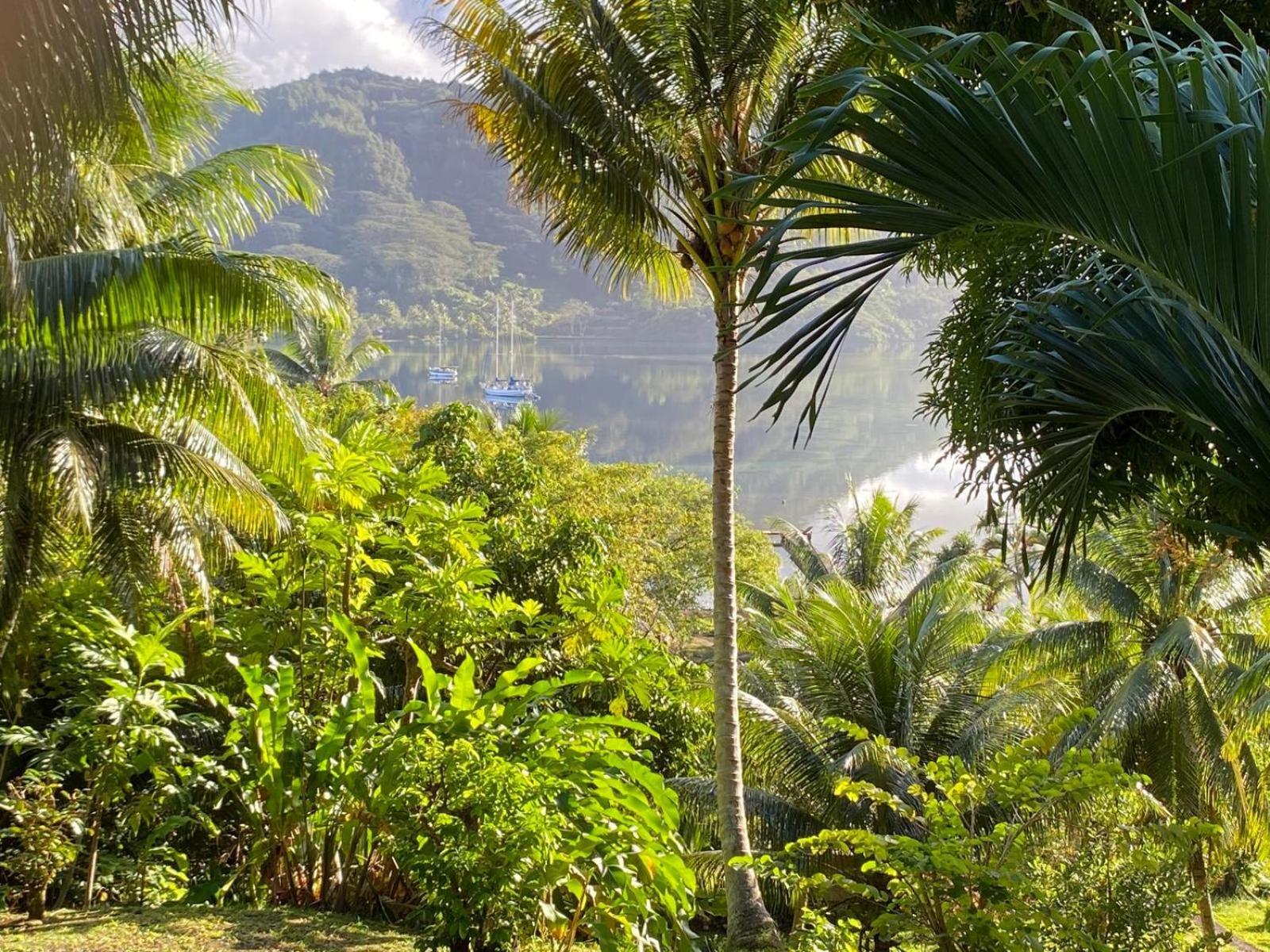 Huahine Manta Lodge Avec 4X4 Optionnel Haapu Eksteriør billede