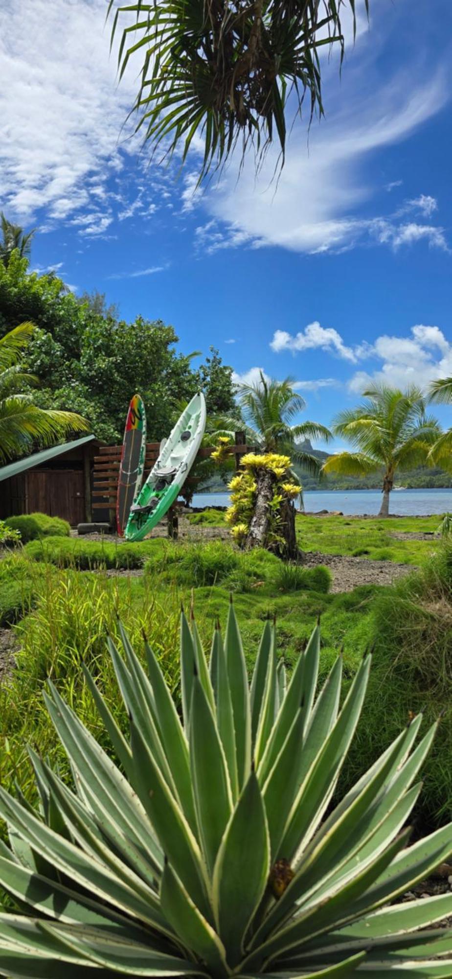 Huahine Manta Lodge Avec 4X4 Optionnel Haapu Eksteriør billede